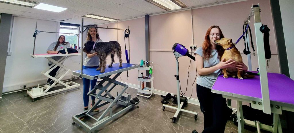 Hannah, Jo and Laura in salon with dogs on grooming tables