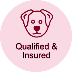 Icon - Qualified & Insured