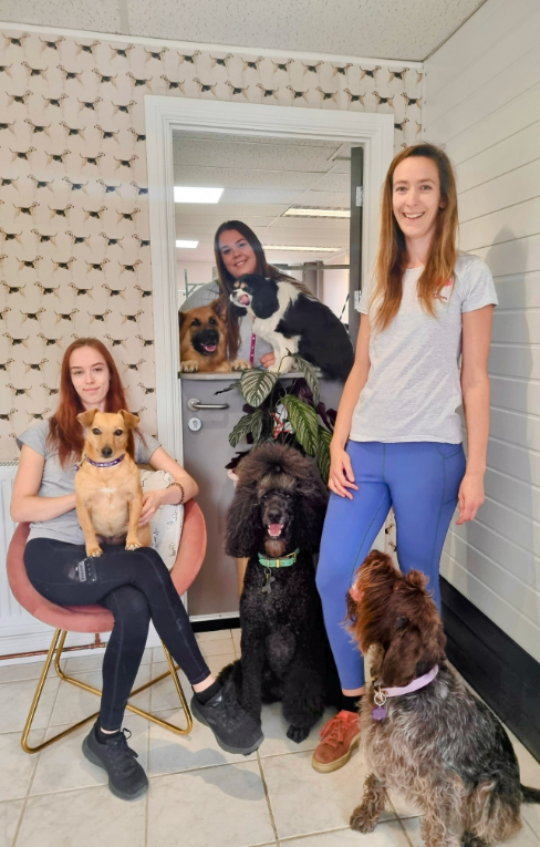 Laura, Hannah and Jo with their dogs