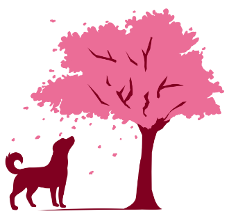 Bark & Bloom Logo