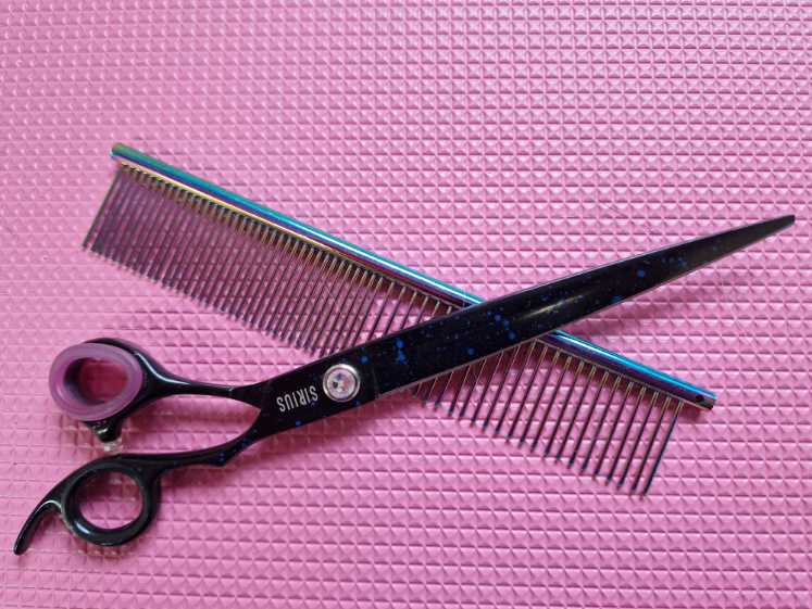 Scissors and comb